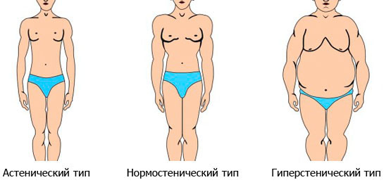 Типы телосложения