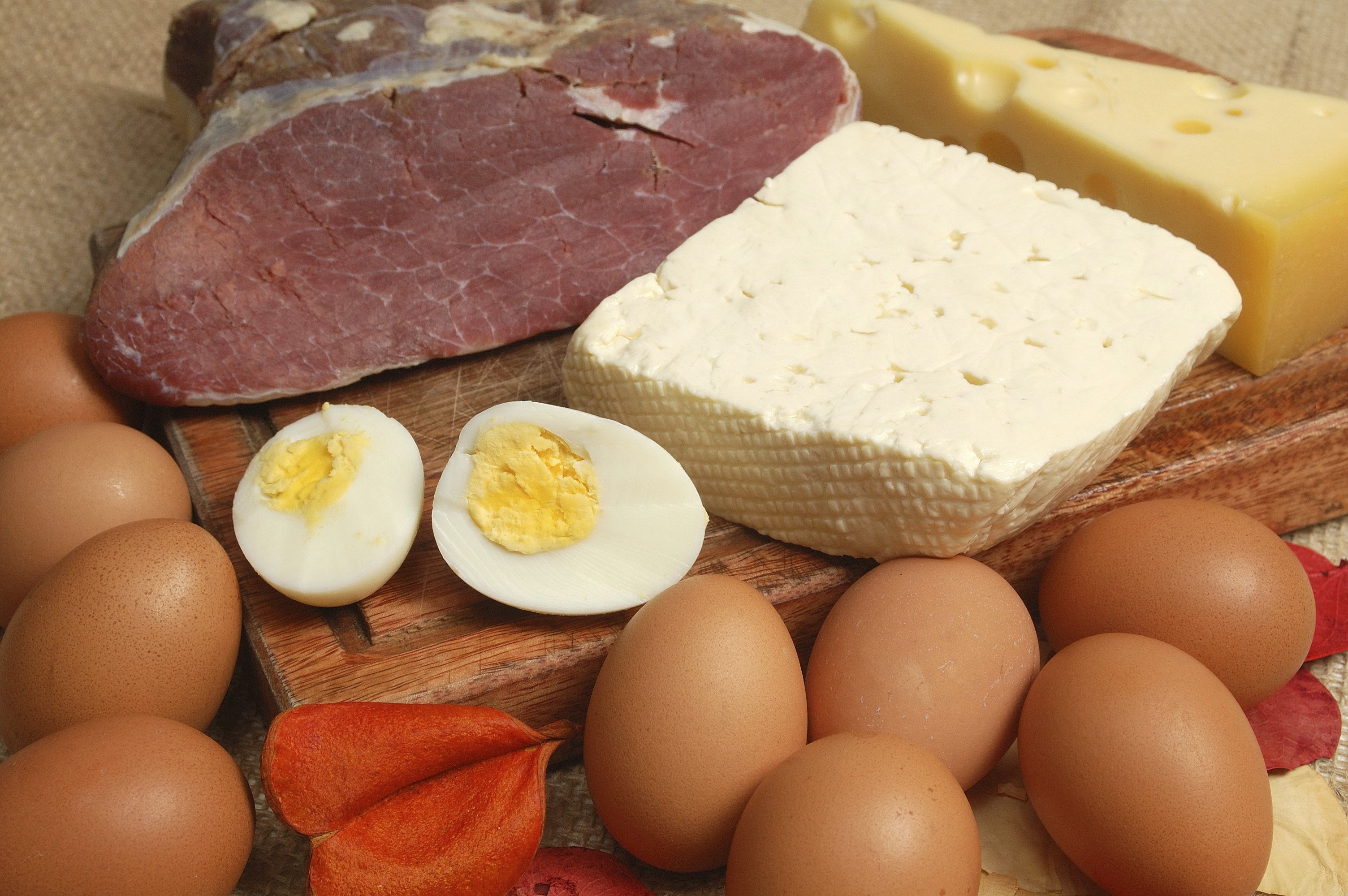 dieta-atkinsa