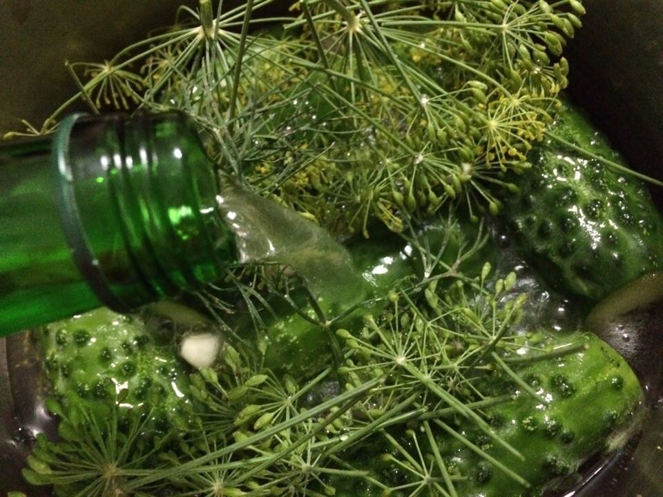 Малосольные огурчики на минеральной воде