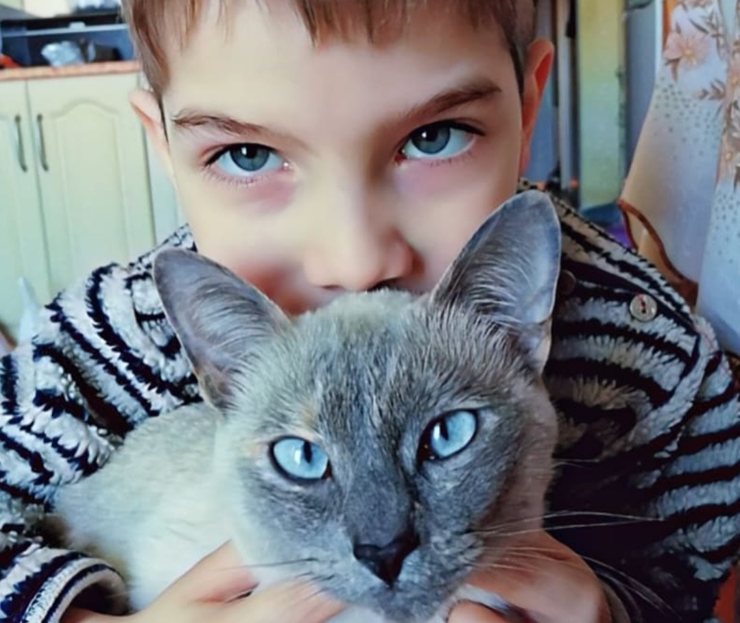 мальчик и кот