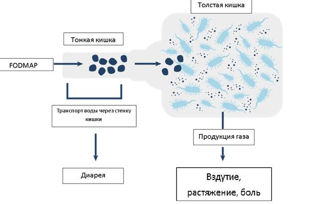 процесс переваривания 