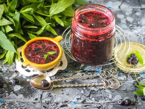 Перетертая черника с сахаром
