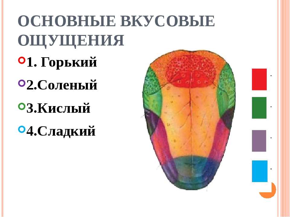 Рецепторы не чувствуют вкуса