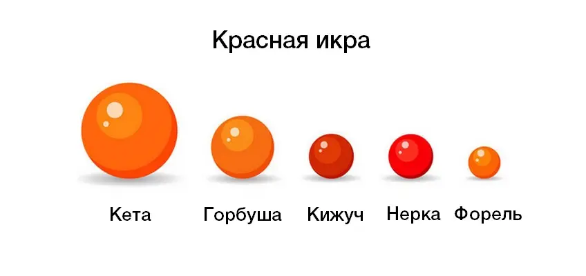 красная икра