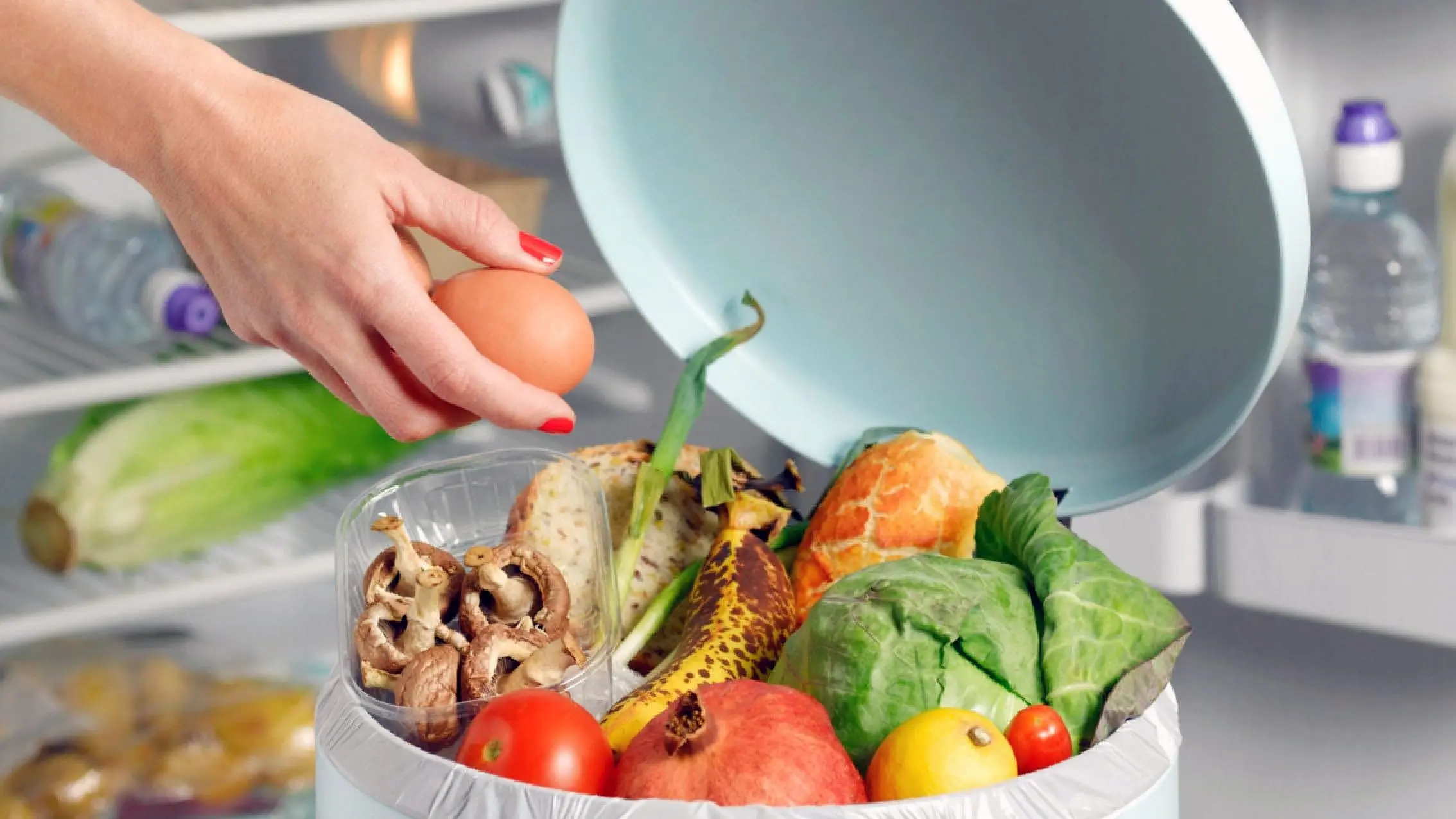 Как не выбрасывать продукты: 10 советов для самых бережливых
