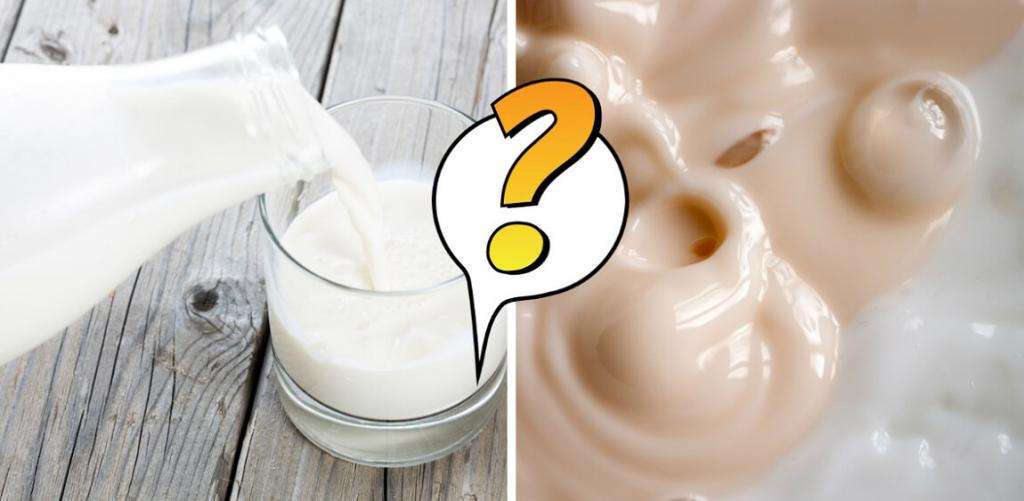 мифы о молочных продуктах 