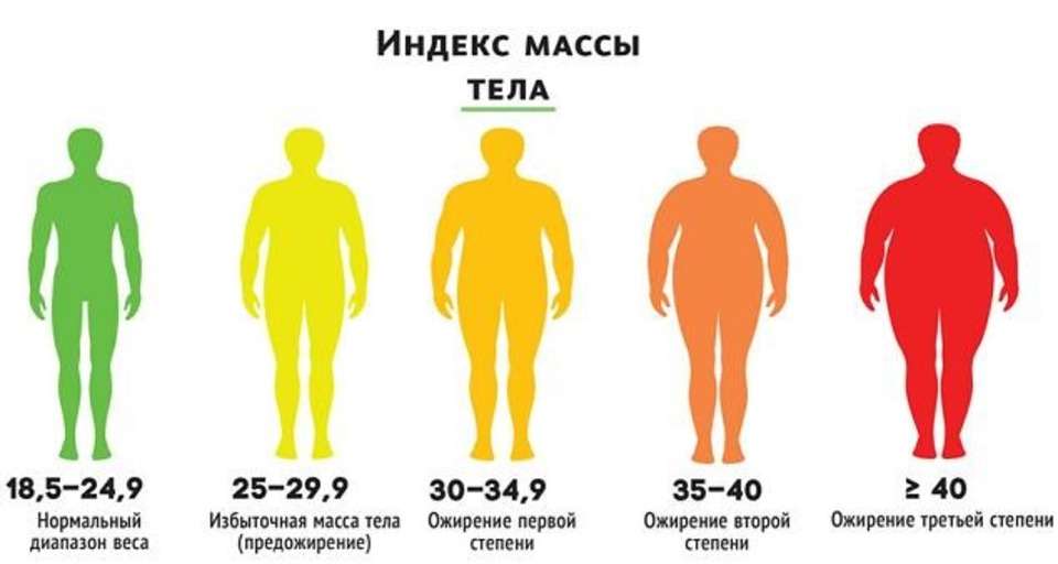 Индекс массы тела