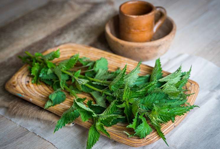 Салат с крапивой и курицей