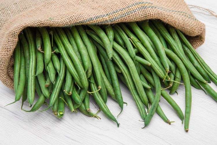 Салат из мяса и спаржевой фасоли с йогуртом