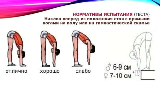 Тест на гибкость поясничного отдела