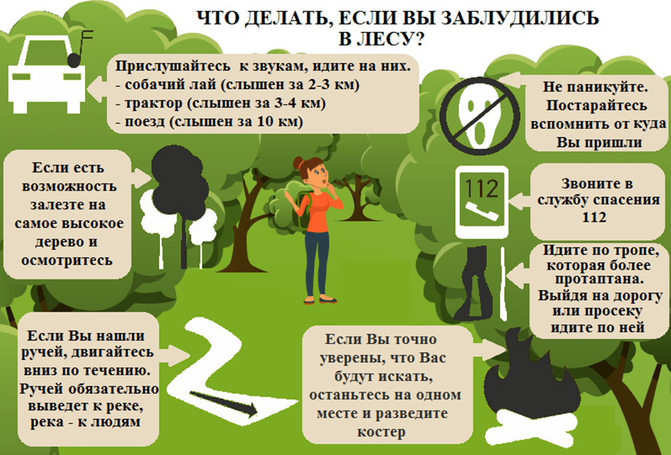 если заблудился