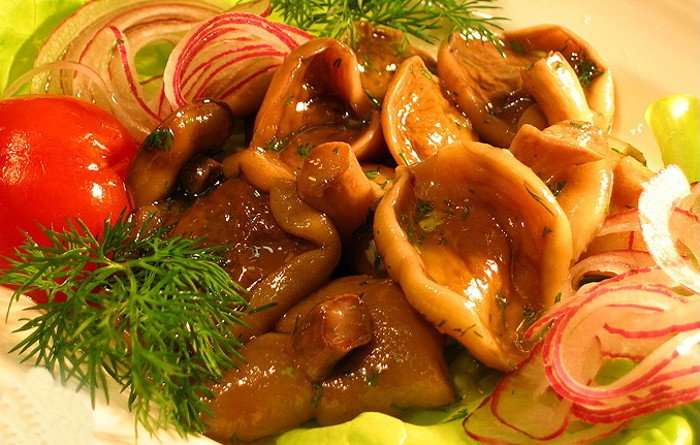 Маринованные острые маслята
