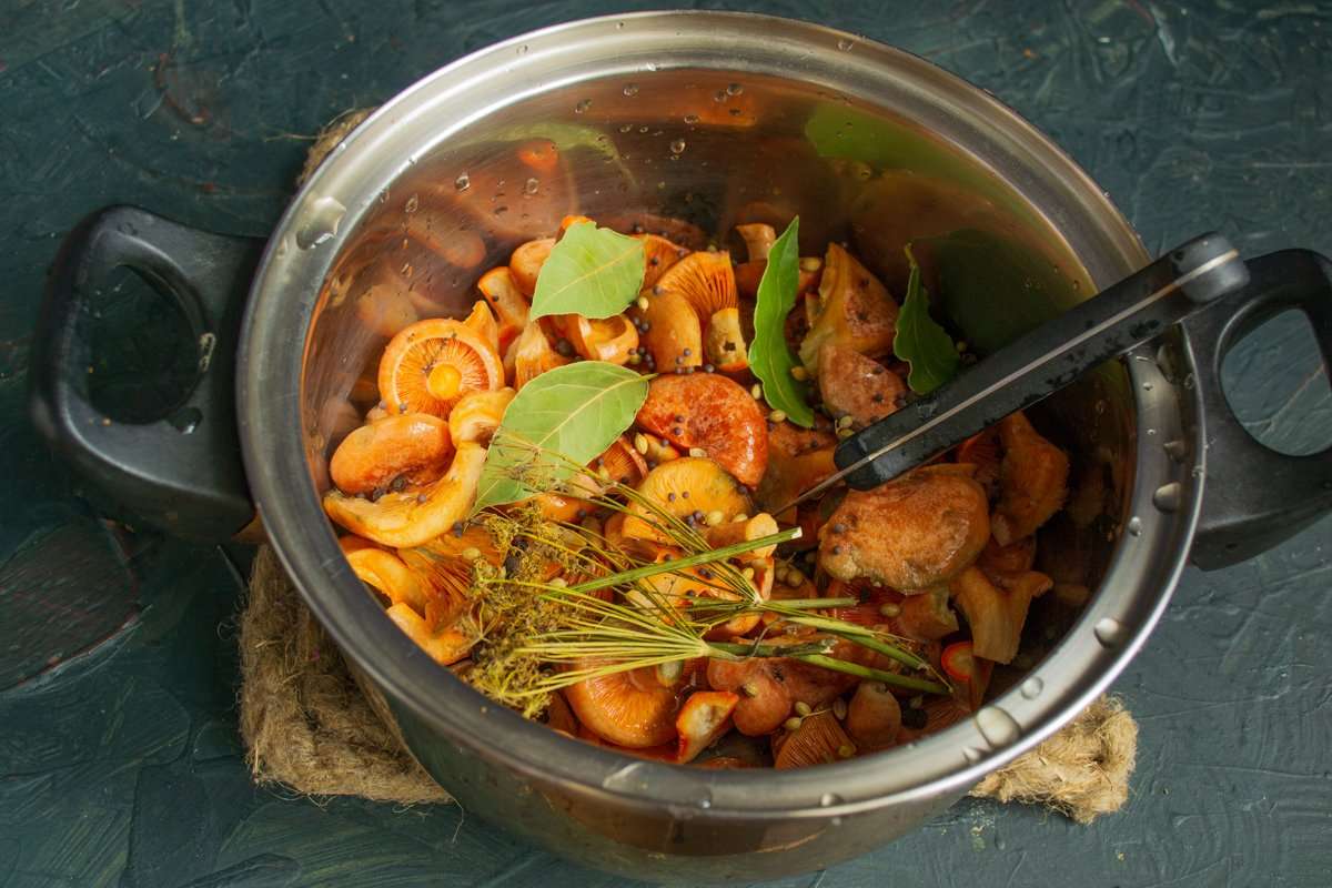 Маринованные рыжики с укропом