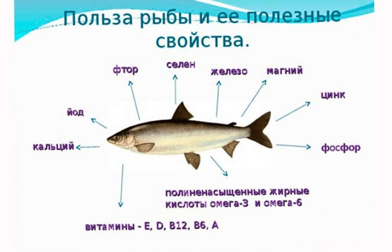 рыба лучше мяса