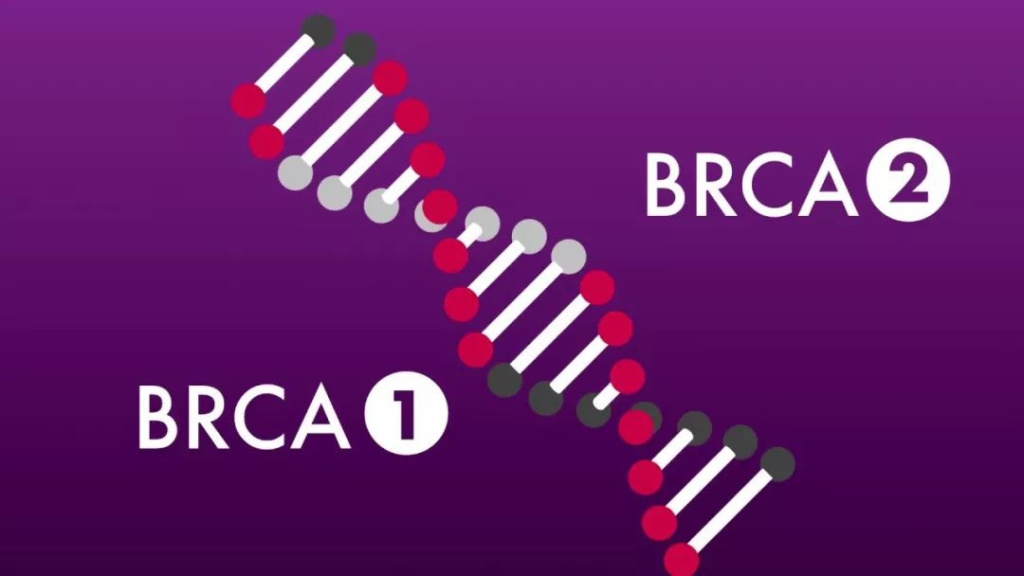 гены BRCA1 и BRCA2