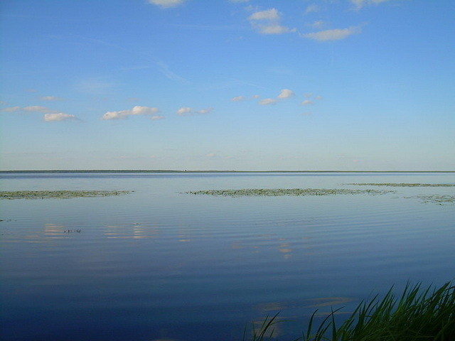 Озеро Выгонощанское Беларусь