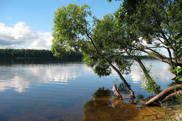 Озеро Селява Беларусь