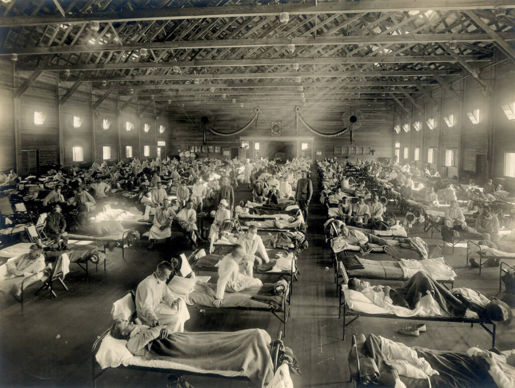 Пандемия 1917-1918 г.г. прошлого века, которая началась в Испании (ее еще называют «испанской») и была вызвана вирусом гриппа А (Н1N1).