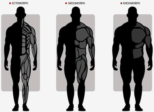 Тренировки и питание для разных типов телосложения