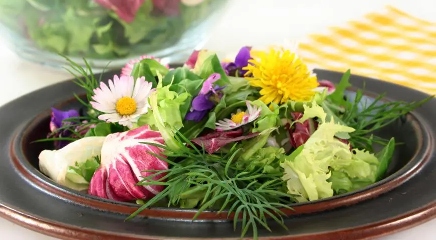 Салат из дикорастущих трав - весенний тренд: изысканность и полезность в одном блюде [Рецепты recipies]