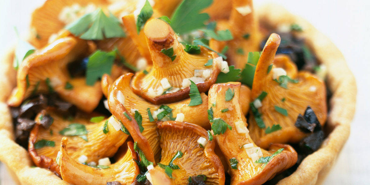Рецепты блюд с лисичками: что можно приготовить из свежих грибов