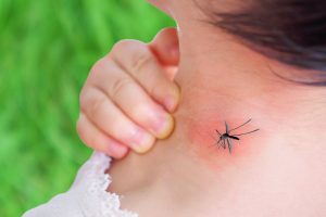 чувствительная кожа - осложнения после укусов насекомых