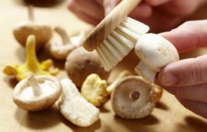 Зачем грибнику лукошко или как не отравиться съедобными грибами