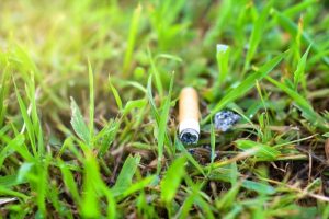 курение и экология
