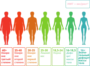 индекс массы тела