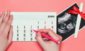 Схема планирования беременности