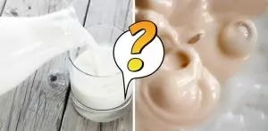 мифы о молочных продуктах 