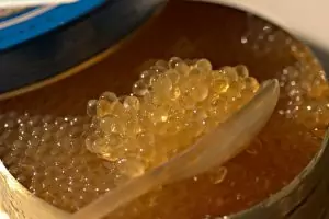 Икра щуки