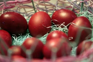 Как покрасить яйца луковой шелухой и шиповником