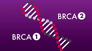 гены BRCA1 и BRCA2