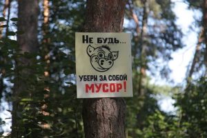 отдых в лесу